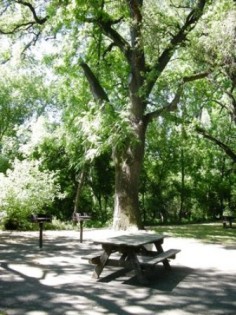 Caswell Memorial State Park Caswell Memorial State Park