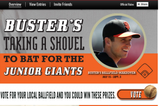 Vote for Modesto BallPark! Vote for Modesto BallPark!