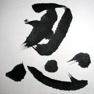 ZenView ZenView