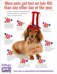 Keep Your Pets Safe on 4th of July Keep Your Pets Safe on 4th of July