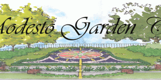 Modesto Garden Club’s 2015 Spring Garden Tour Modesto Garden Club’s 2015 Spring Garden Tour