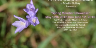 The Central California Art Association at the Mistlin Gallery presents The Central California Art Association at the Mistlin Gallery presents