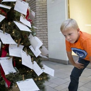 30th Year for the Soroptimist Community Christmas Tree 30th Year for the Soroptimist Community Christmas Tree