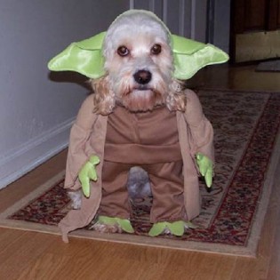 Save the Tricks & Treats for the Peeps not the Pets Save the Tricks & Treats for the Peeps not the Pets