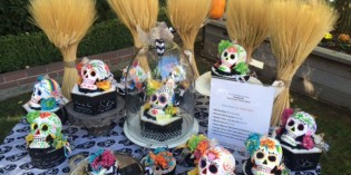 BigView: Halloween Happenings BigView: Halloween Happenings