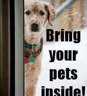 Baby It’s Cold Outside Baby It’s Cold Outside