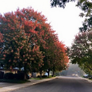 StreetView – Take a Walk StreetView – Take a Walk