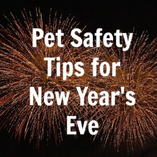 Pet Safety on New Years Eve Pet Safety on New Years Eve