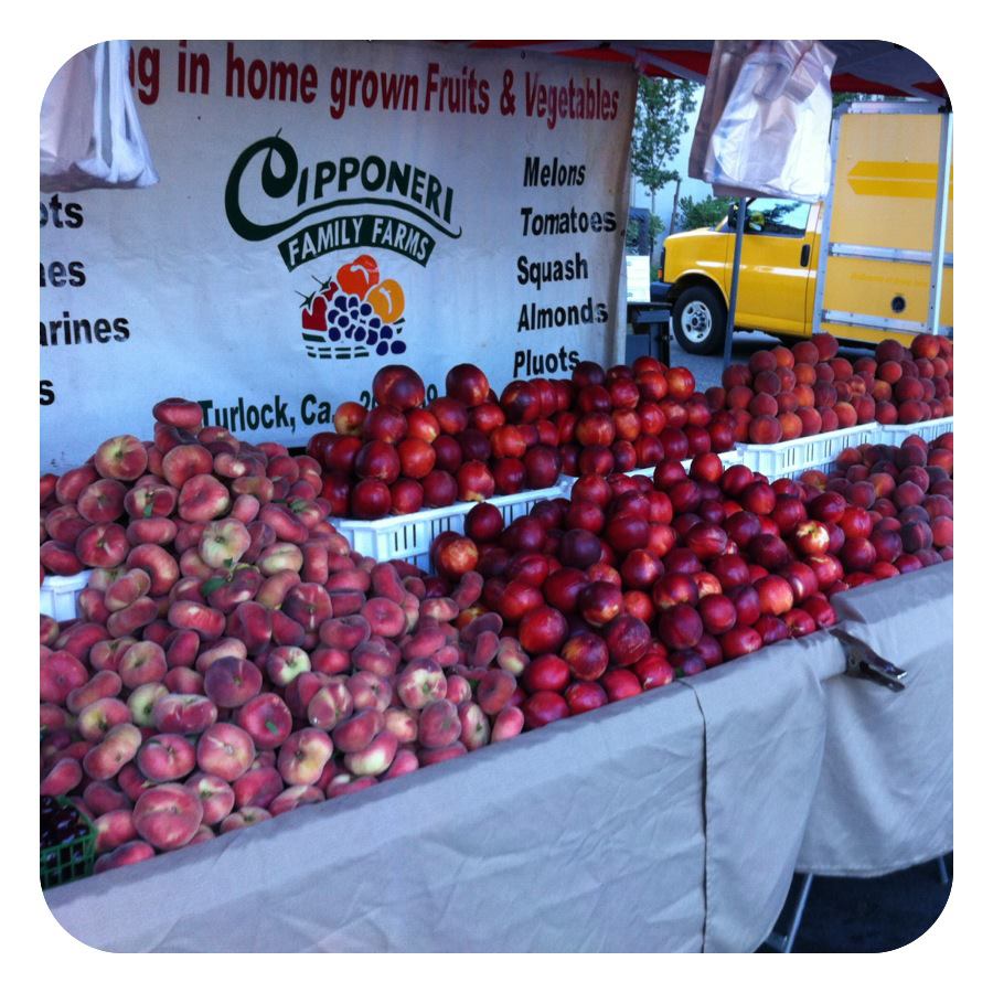 Local Fruit Stands Modestoview