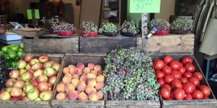 Local Fruit Stands Local Fruit Stands