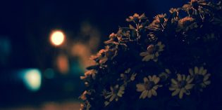 BargainView: Fall in love with Autumn BargainView: Fall in love with Autumn