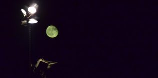Bargain View: Haunting Change of Season Bargain View: Haunting Change of Season