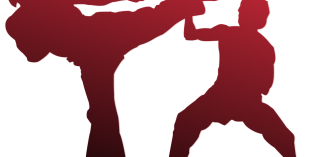FitView: Martial Arts Fitness FitView: Martial Arts Fitness