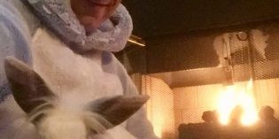 Keep Your Pets Warm Keep Your Pets Warm