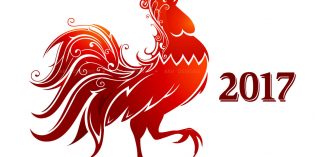ZenView – Year of the Rooster ZenView – Year of the Rooster