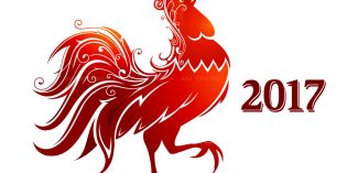 ZenView – Year of the Rooster