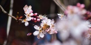 March is Marvelous! BargainView March is Marvelous! BargainView