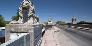 HistoryView – Save The Lions! HistoryView – Save The Lions!