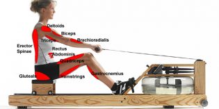 FitView – Row Row Row Your Body FitView – Row Row Row Your Body