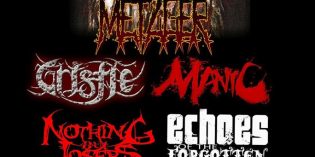 MetalView MetalView