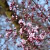 March BargainView Spring Into Savings! March BargainView Spring Into Savings!