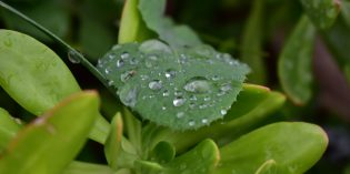 BargainView – April Showers BargainView – April Showers