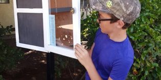 ReadingView: Modesto’s Little Free Libraries ReadingView: Modesto’s Little Free Libraries