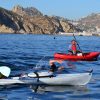 FitView: Open Water Training with Sharks FitView: Open Water Training with Sharks