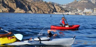 FitView: Open Water Training with Sharks FitView: Open Water Training with Sharks