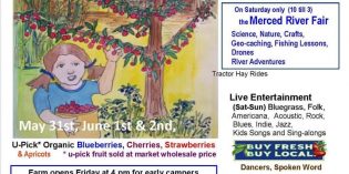 ArtView: Graffiti Summer ArtView: Graffiti Summer