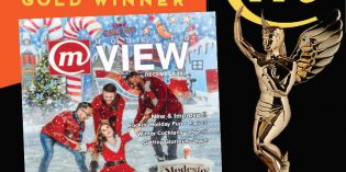 ModestoView Wins Gold! ModestoView Wins Gold!
