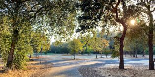 BigView – Let’s go to the Park BigView – Let’s go to the Park