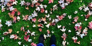 BargainView – Step into Festival Fall BargainView – Step into Festival Fall
