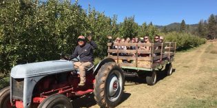 Indigeny’s Annual Harvest Festival-All Month Long! Indigeny’s Annual Harvest Festival-All Month Long!