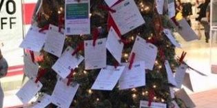 GivingView – For the Holidays GivingView – For the Holidays
