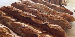 FoodView – Alchemy Bread FoodView – Alchemy Bread