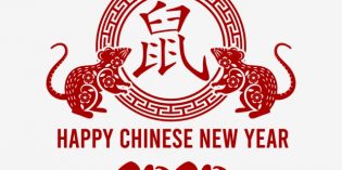 ZenView – Year of the Rat ZenView – Year of the Rat