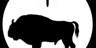 Zen View Chinese New year of the White Metal Ox Zen View Chinese New year of the White Metal Ox