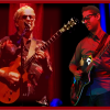 BluesView: Live Music If You Want It BluesView: Live Music If You Want It