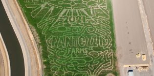 BigView – October Corn Mazes BigView – October Corn Mazes