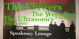 RockabillyView – Garage Party RockabillyView – Garage Party