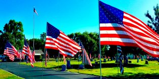 MemorialView – Flying the colors in 2022 MemorialView – Flying the colors in 2022