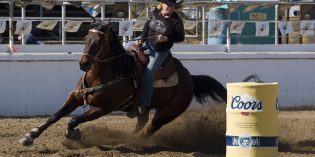 RodeoView RodeoView