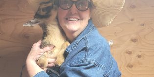 FamilyView: Hollow Oak Acres Baby Goat Days FamilyView: Hollow Oak Acres Baby Goat Days