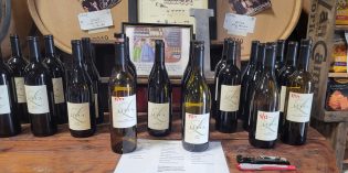 BrewView: Lucca Winery Delights BrewView: Lucca Winery Delights