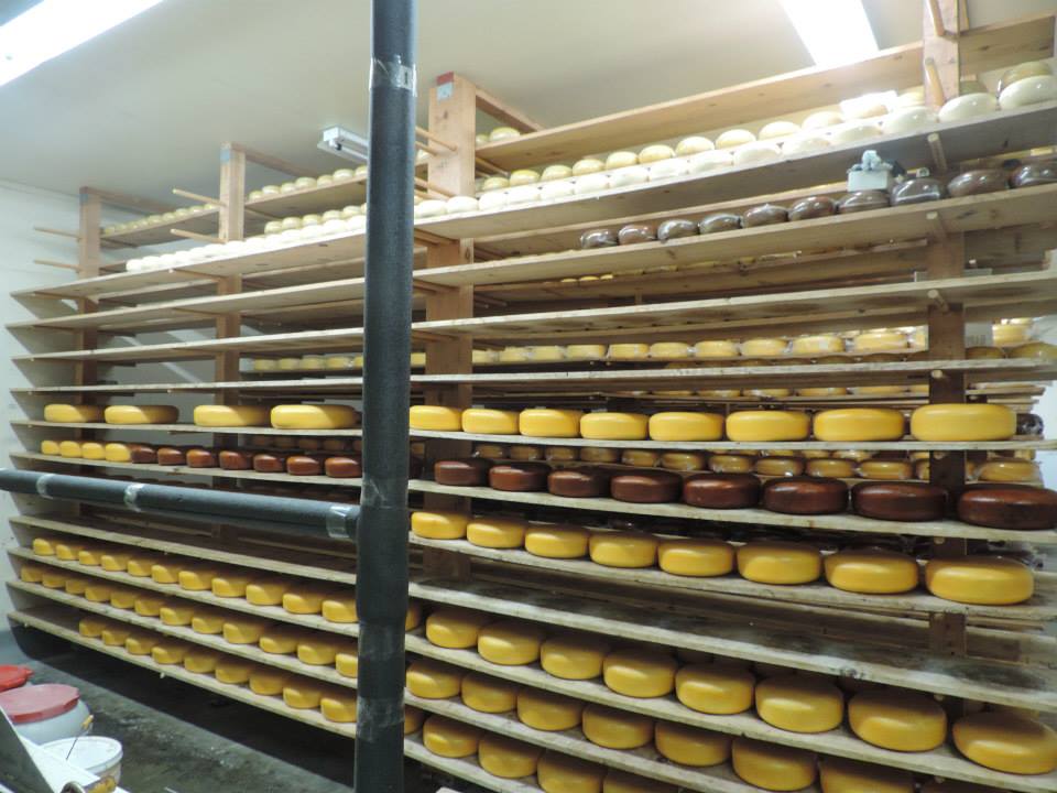 Bulk Cheese Warehouse - Cheese Store in Nutana