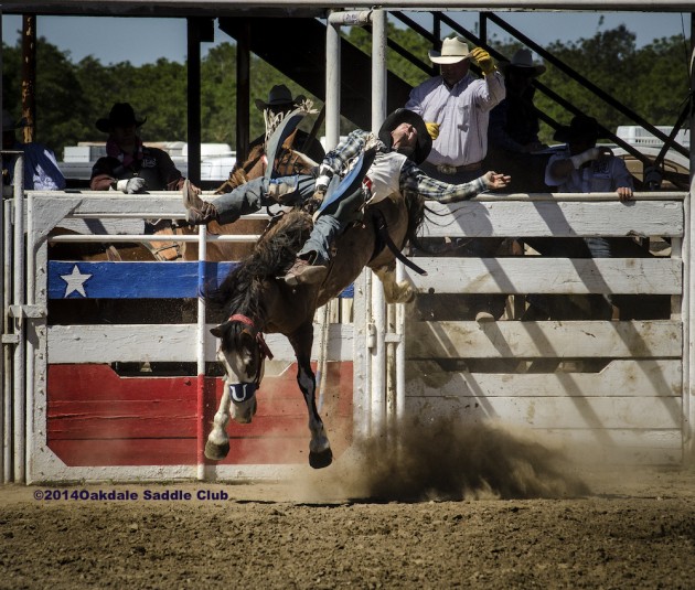 GoOakdale Rodeo Returns Modestoview