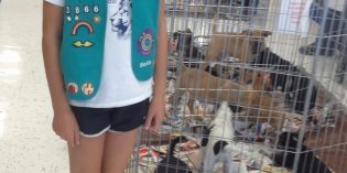 AllAgesView -Girl Scouts