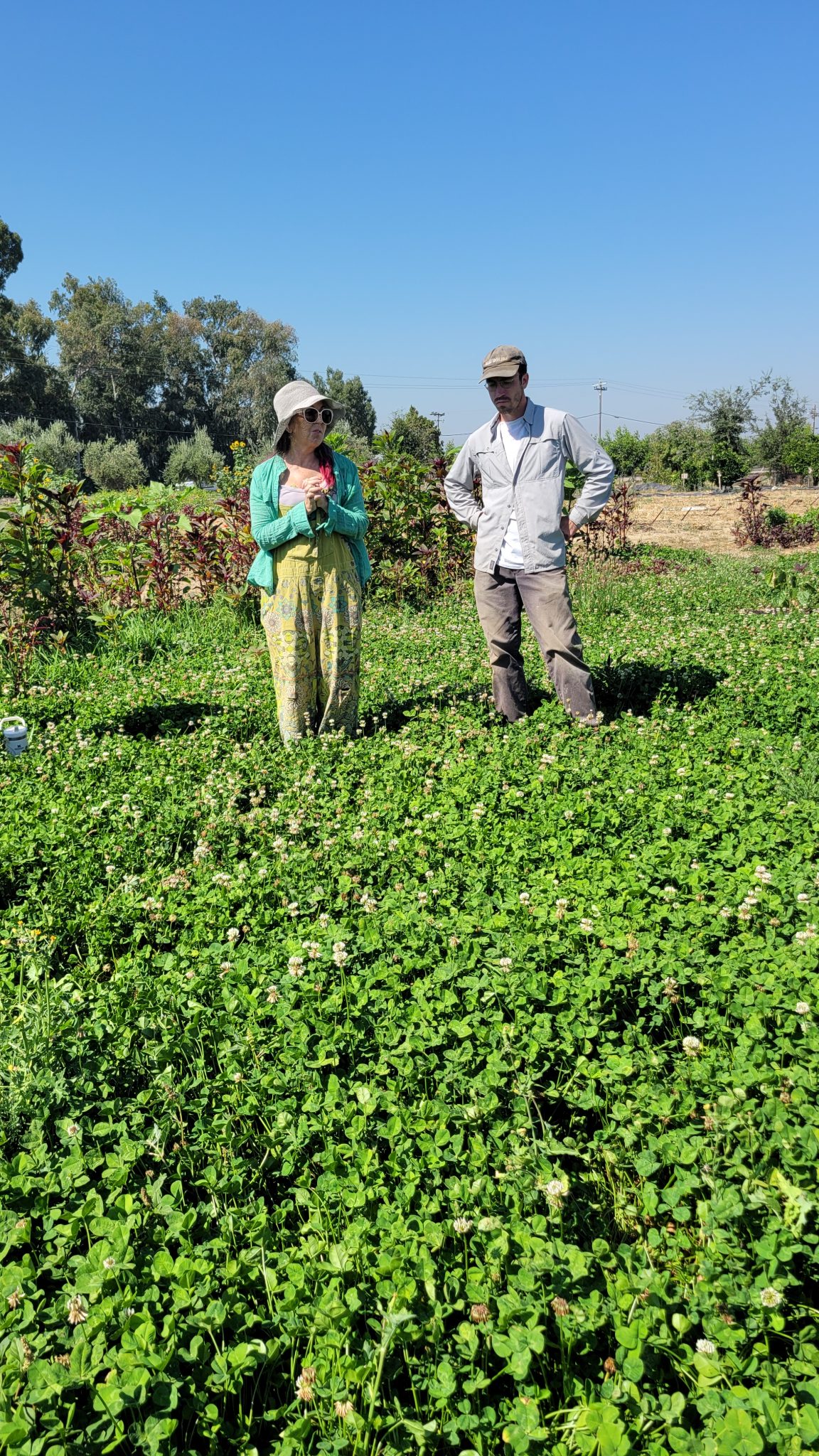 Zinc House Farms Family Farm Day Modestoview